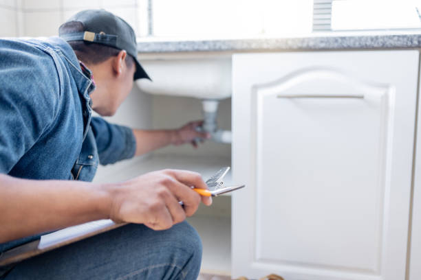 Best Clogged Drain Plumber  in Hanna City, IL