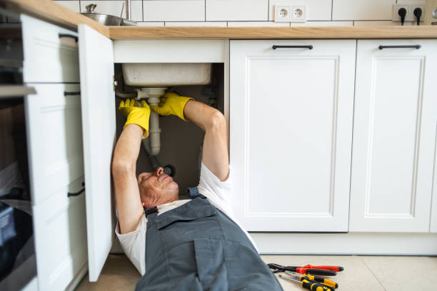 Best Plumbing Inspection Services  in Hanna City, IL