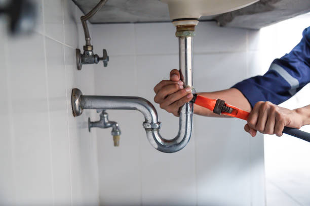 Best Local Plumber Services  in Hanna City, IL