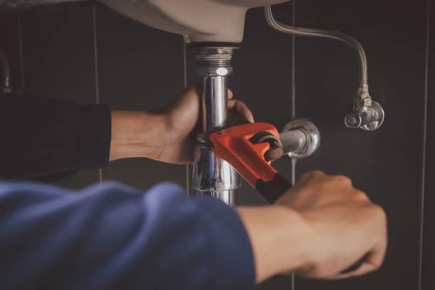 Best Commercial Plumbing Services  in Hanna City, IL