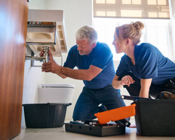 Best Emergency Plumber  in Hanna City, IL